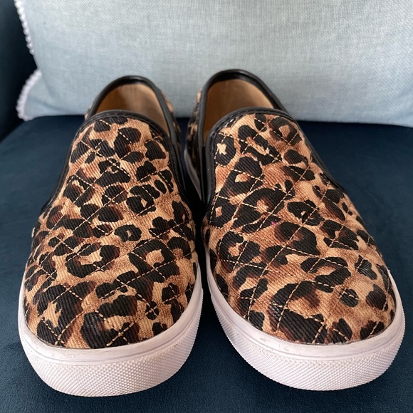 steve madden ecentrcq leopard